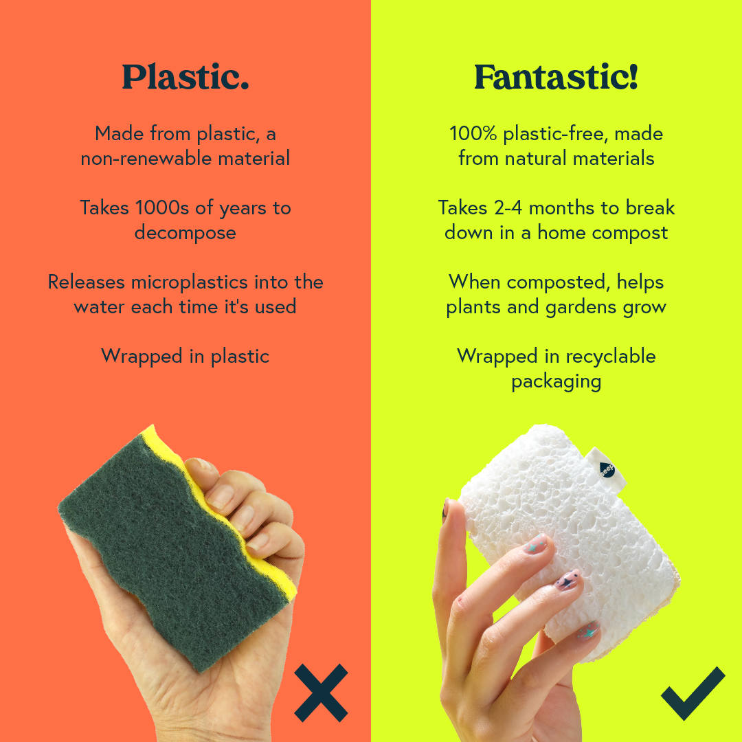 Eco Sponge Scourers (1 year supply - 12 sponges)